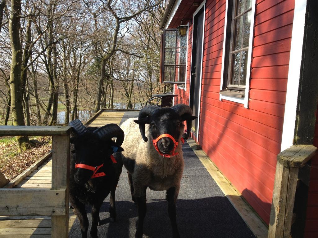 Farm Stay Happy Dogs Ranch Veberöd Exterior foto