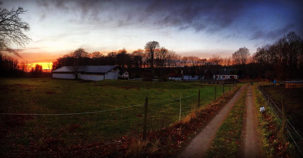 Farm Stay Happy Dogs Ranch Veberöd Exterior foto