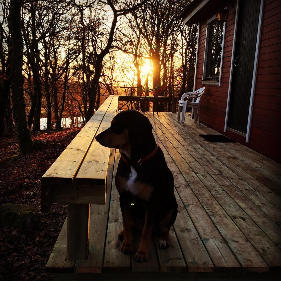 Farm Stay Happy Dogs Ranch Veberöd Exterior foto